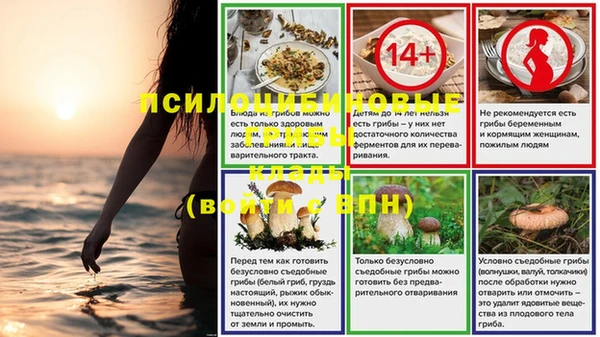 ECSTASY Абаза