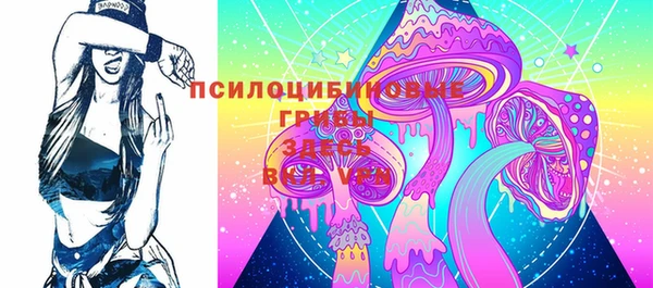 твердый Алексеевка