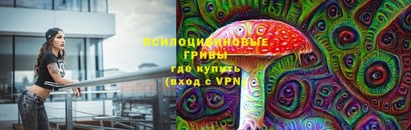 mdpv Коряжма