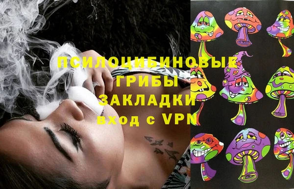 твердый Алексеевка